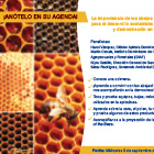 pub_abejas