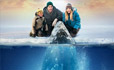 Big Miracle