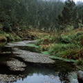 Valle Nuevo: Madre de las Aguas