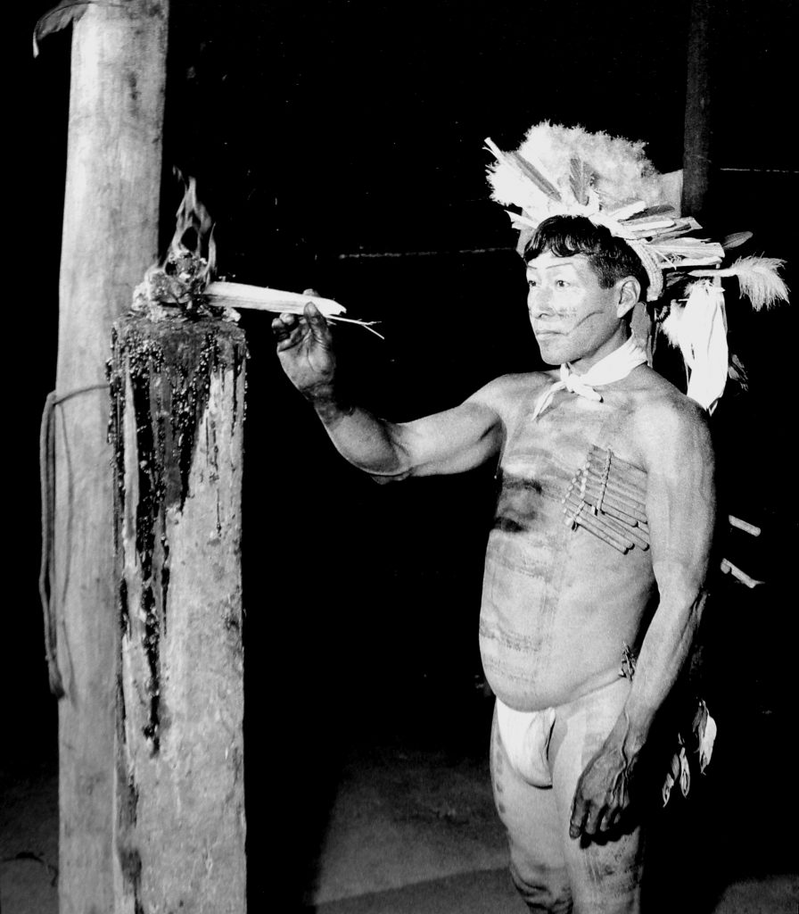 Apaporis, secretos de la selva DREFF